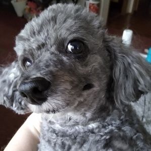 Meet your Posher, Deborah